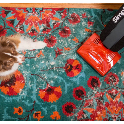 Simplicity Cordless  Freedom Upright Vacuum Cleaner Model S10CV